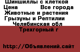 Шиншиллы с клеткой › Цена ­ 8 000 - Все города Животные и растения » Грызуны и Рептилии   . Челябинская обл.,Трехгорный г.